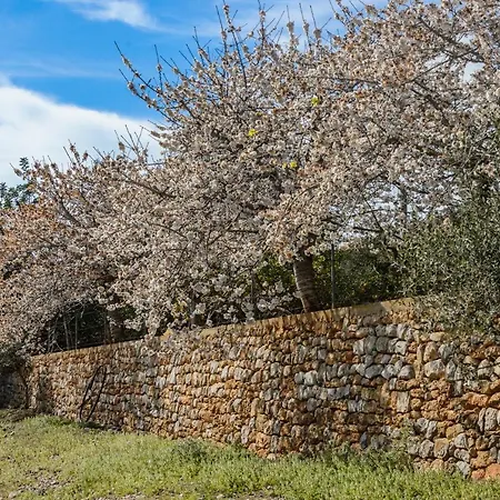 Appartement Rural Prats *