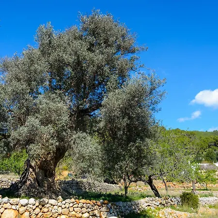 Daire Rural Prats Santa Eularia des Riu